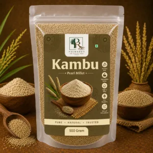 Kambu